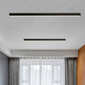 Modern Minimalist Long Acrylic Aluminum LED Flush Mount Ceiling Light For Living Room
