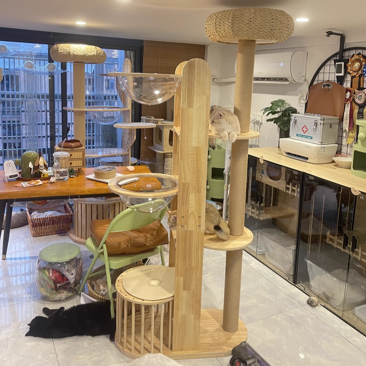 Cylindrical Multi-Functional Cat Tree