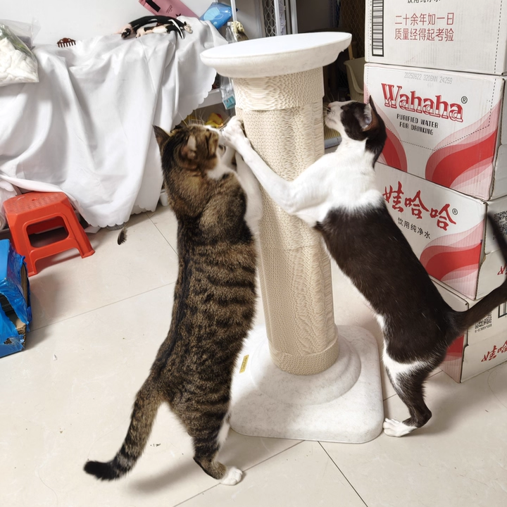 Nordic Round Cat Tree