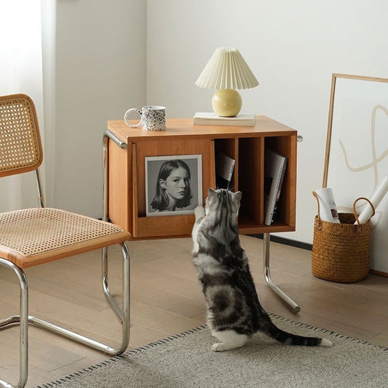 Traditional Japanese Rectangular Plywood Stainless Steel End Table Storage Cabinet For Living Room