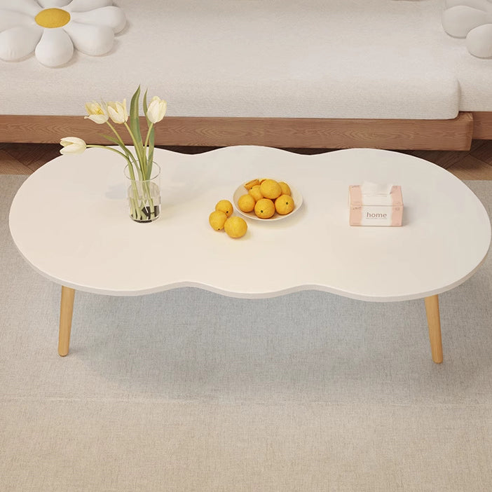 Minimalist Oval Wood Coffee Table