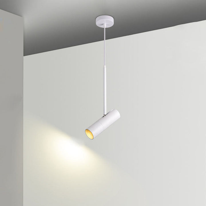 Contemporary Metal Pendant Light
