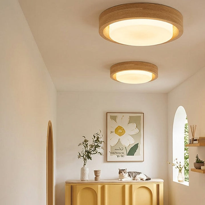 Contemporary Round Glass LED Flush Mount Ceiling Light