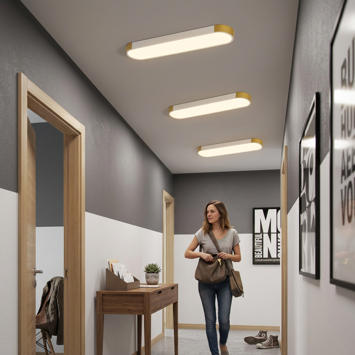 Modern Minimalist Rectangular Ring LED Flush Mount Ceiling Light