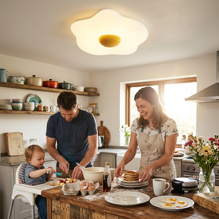 Contemporary Creative Fried Egg Rotational Molding Iron LED Flush Mount Ceiling Light For Living Room
